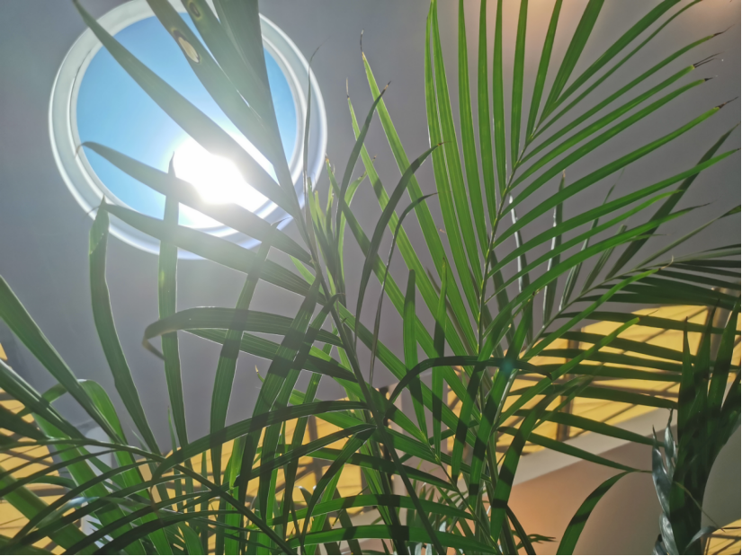640 (3).png